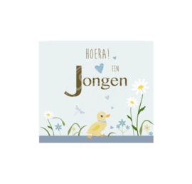Coos Storm - Hoera! Een jongen