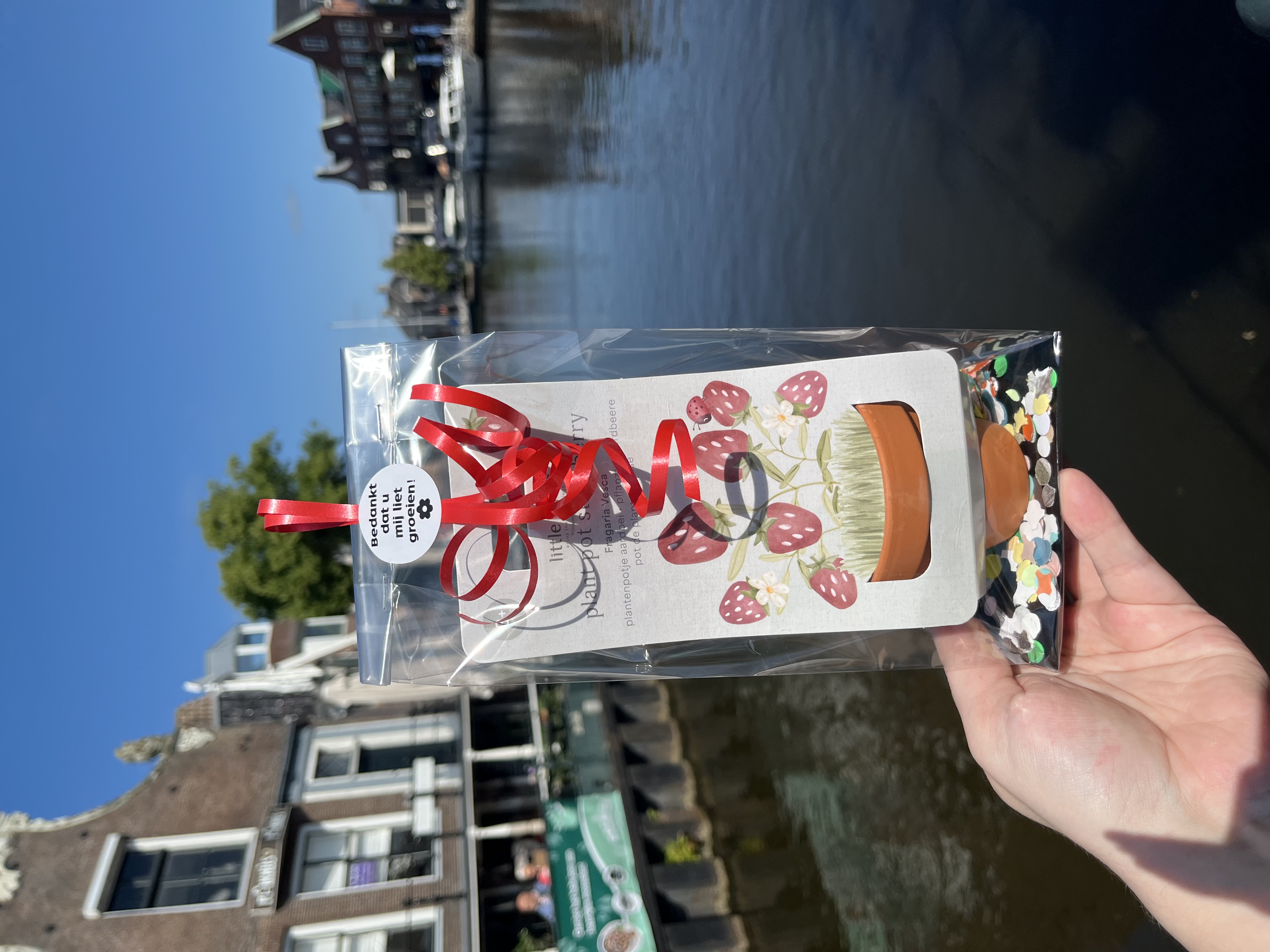 Meester of juf cadeau - Little Dutch - Plantenpotje Aardbei