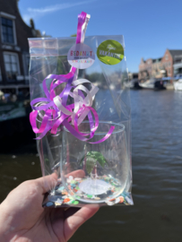 Meester of juf cadeau - Palmboom in Glas