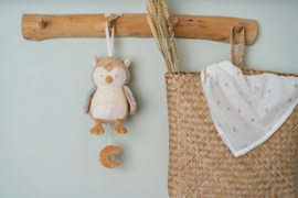 Little Dutch - Forest Friends - Muziekdoos Uil