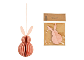 Hanger Honeycomb Paashaas Oudroze