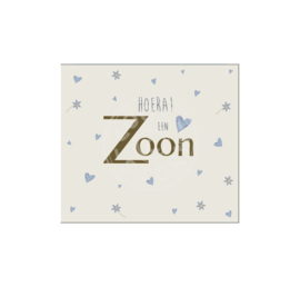 Coos Storm - Hoera! Een zoon