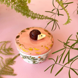 House of Disaster - Secret Garden - Sieradenpotje met egeltje