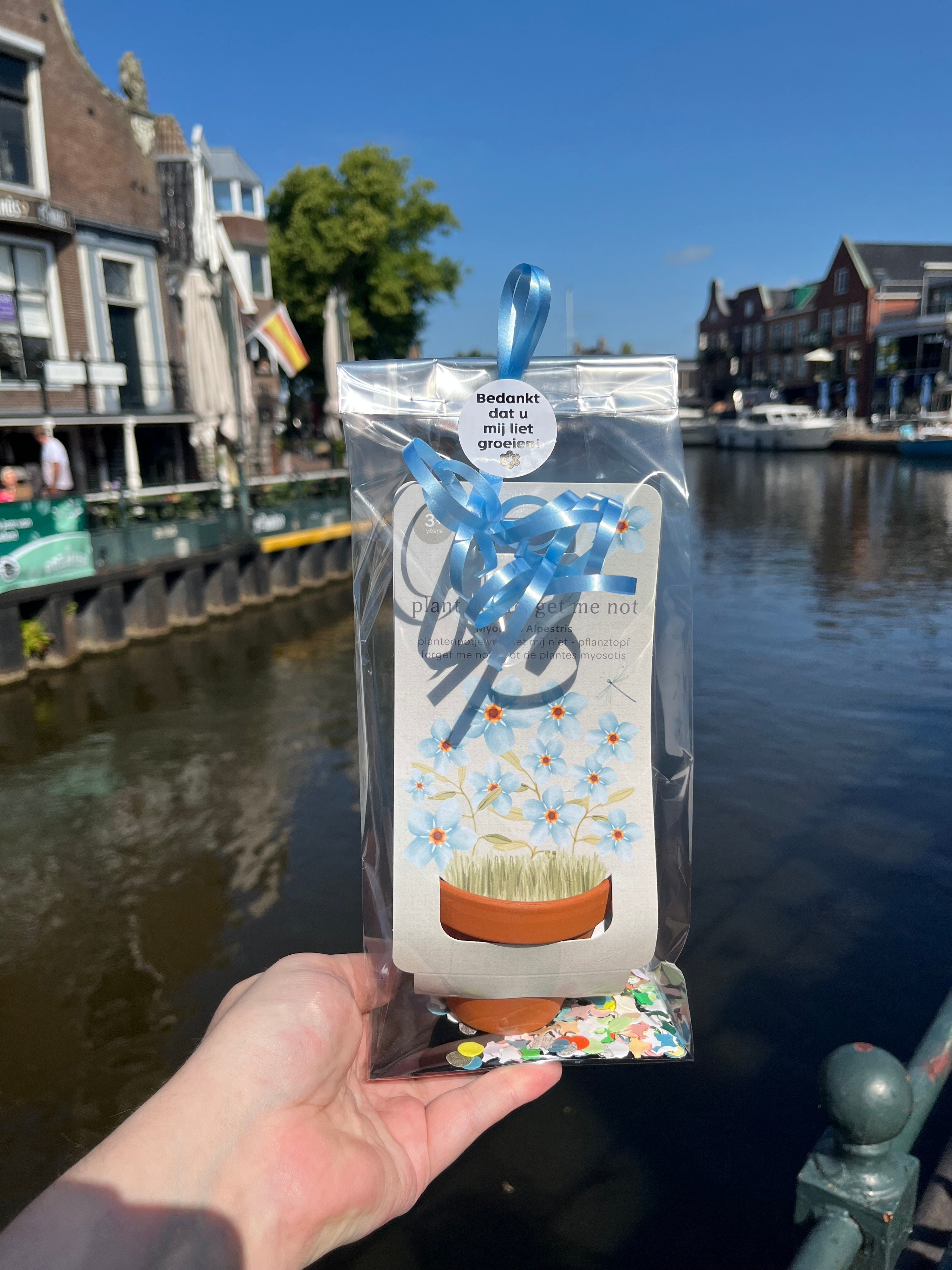 Meester of juf cadeau - Little Dutch - Plantenpotje Vergeet Mij Niet