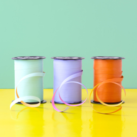 Cadeaulint - Uni Pastel Mint – Binnenkant Orange (10mm x 5m)
