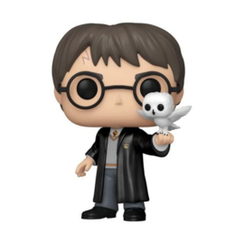 Funko POP! Harry Potter: Harry Potter with Hedwig #197 Special Edition