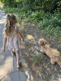 Dress summer stripes