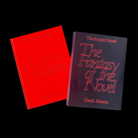 THE ARTIST'S NOVEL PART I & II / DAVID MAROTO