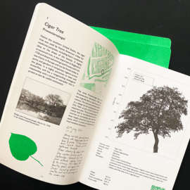 FOURTEEN TREES OF ROTTERDAM / ALICE LADENBURG