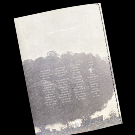 SONGS IN A STRANGE LAND / MICHELLE PIERGOELAM