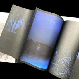 SONGS IN A STRANGE LAND / MICHELLE PIERGOELAM
