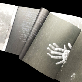 SONGS IN A STRANGE LAND / MICHELLE PIERGOELAM