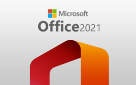 Microsoft Office Professional Plus 2021 (Online Activation)