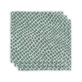 Hydrofiele Monddoekjes Jollein (3 stuks) Groen