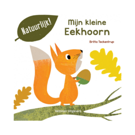 Mijn kleine muis