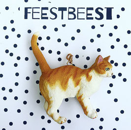 Feestbeest poes