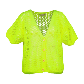Mobile knit lime