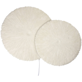 Wall Lamp Ivory 56x38x15cm