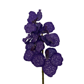 Zijdebloem Vanda Orchid Paars