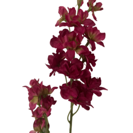 Zijdebloem Larkspur Spray Fuchsia