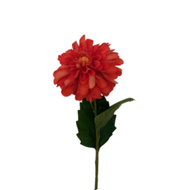 Zijdebloem Dahlia Hillcrest Zalm