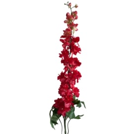 Zijdebloem Single Delphinium Rood