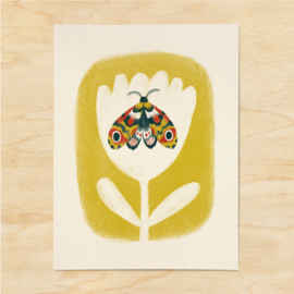 A5 print | Le papillon céleste