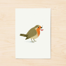 A5 print | Robin