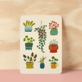 Postcard | Plants
