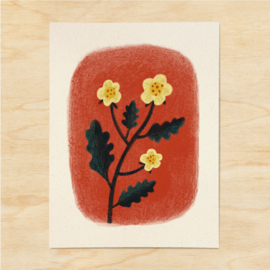 A5 print | Ranunculus