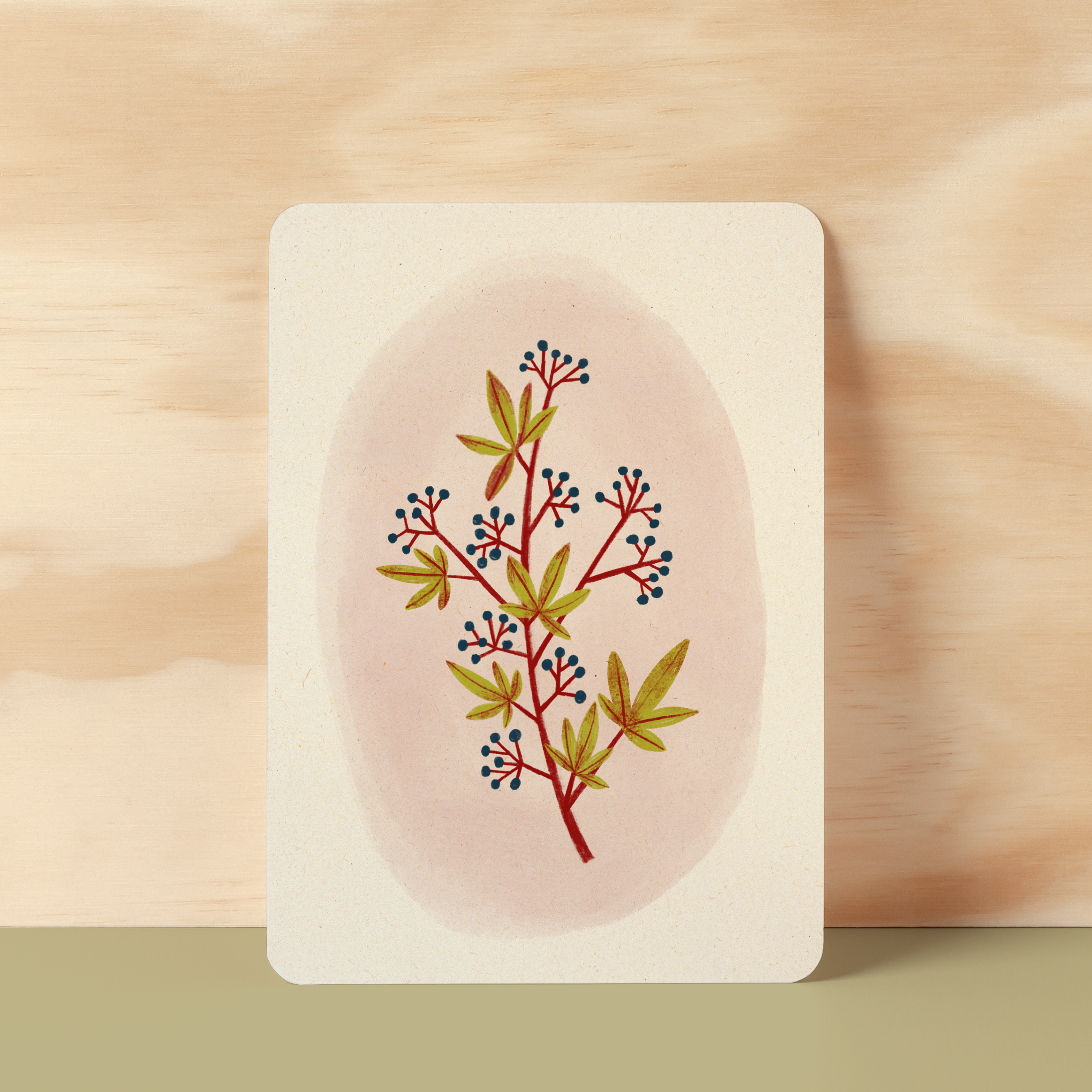 Postcard | Virginia Creeper