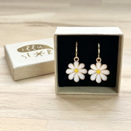 Daisies