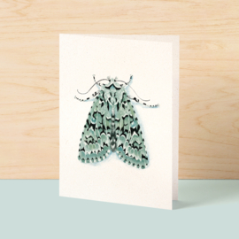 Greeting card | Moth