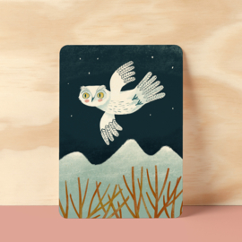 Postcard | Snow owl