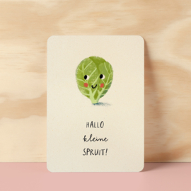 Postcard | Kleine spruit