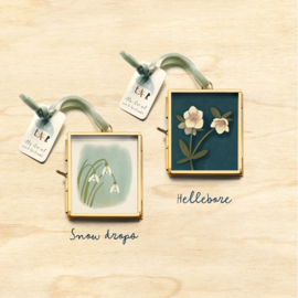 Glass frame | gold | 79x69mm