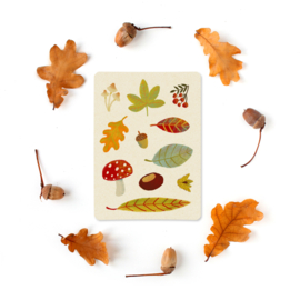 Postcard | Autumn collection