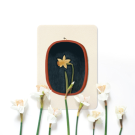 Postcard | Portrait of a Daffodil