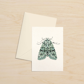 Greeting card | Moth