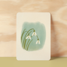 Postcard | Snow drops