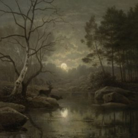 Spatscherm Boslandschap bij maanlicht 60 x 80 cm