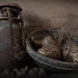 Spatscherm houten pot amaryllis bollen 60x90cm