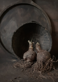 Tuinposter Sobere manden met bollen