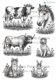 Silk Screen Animals with flower crowns XL - 21x30 cm