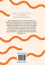Het 6 minuten dagboek voor moeders