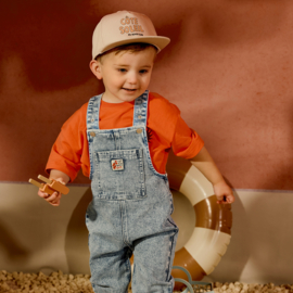 Z8 mini pet Ravi  | diverse maten