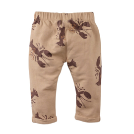 Z8 newborn broekje Savino nougat | maat 50 t/m 74