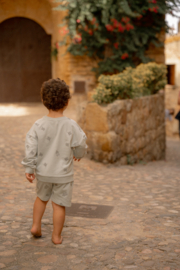 Little Dutch korte broek forest mint bugs | maat 74 - 104