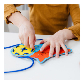 Dikkie Dik rijgkaarten