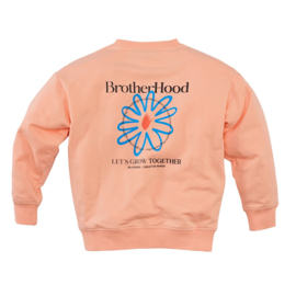 Z8 kids sweater Adrean peach fuzz | maat 92 - 152